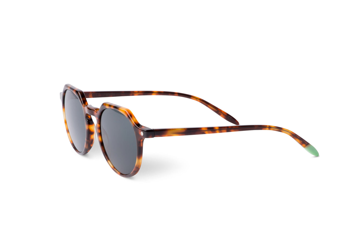 Chobe – Tortoise - SUNGLASSES