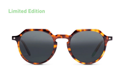 Chobe – Tortoise - SUNGLASSES